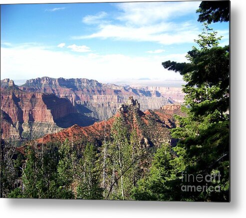 Grand Canyon Metal Print featuring the photograph North Rim by Charles Robinson