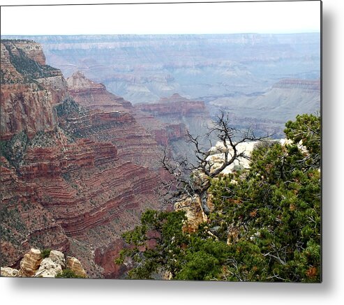 Grand Canyon Metal Print featuring the photograph North Rim Grand Canyon by Charlotte Schafer