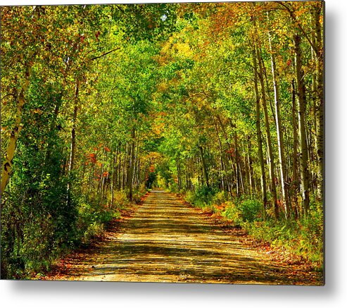 October Odyssey Metal Print featuring the photograph October Odyssey by Karen Cook