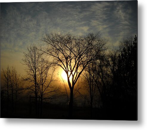 Sunrise Metal Print featuring the photograph October Sunrise Behind Elm Tree by Kent Lorentzen