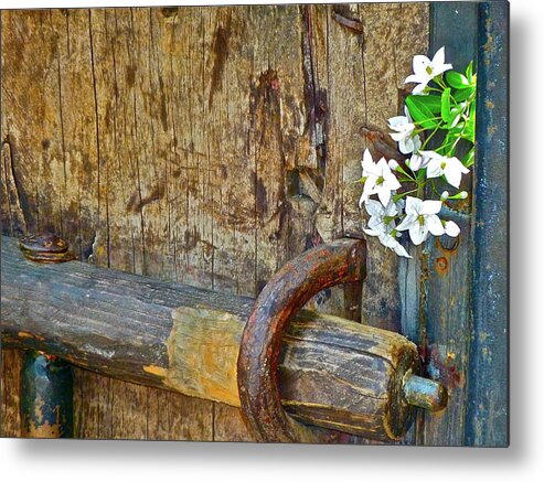 Antique Metal Print featuring the photograph Old Gate by Diana Hatcher