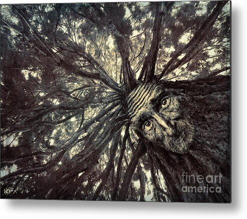 Tree Metal Print featuring the photograph Old Man Tree by Kira Bodensted