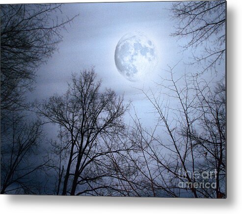 Nature Metal Print featuring the photograph On A Stormy Moonlit Night by Dorothy Lee