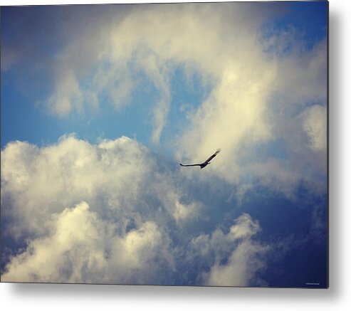 On The Turning Away Metal Print featuring the photograph On the Turning Away by Dark Whimsy