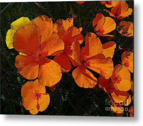 Artistic Metal Print featuring the photograph Orange Flowers by Jean Bernard Roussilhe