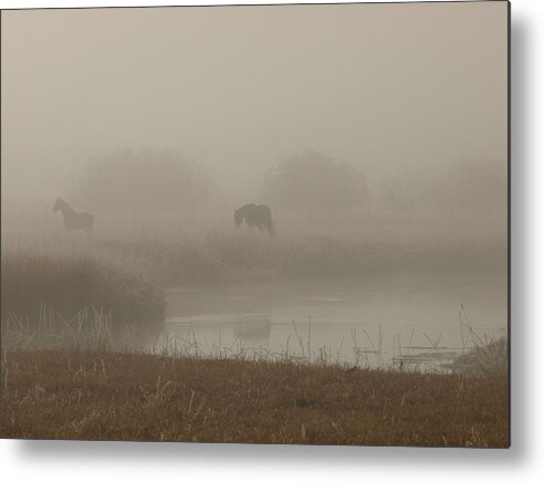 Country Metal Print featuring the photograph Out In The Fog by DeeLon Merritt