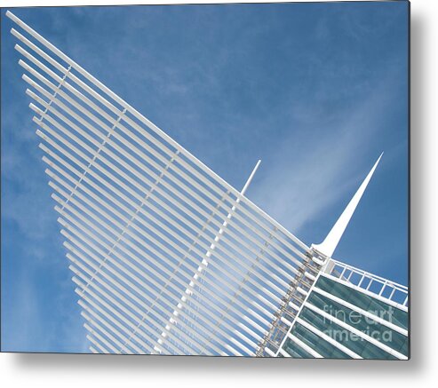 Milwaukee Metal Print featuring the photograph Outstretched Wing by Ann Horn