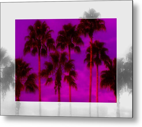 Palm Metal Print featuring the photograph Palm Tree Heaven by Ken Krolikowski