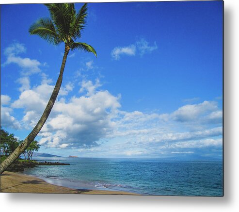 Beach Metal Print featuring the photograph Palm Tree in Paradise by Andy Konieczny