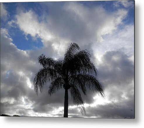 #portrichey #florida #windy #march #morning Blue And #white Sky Metal Print featuring the photograph Palm Tree Swaying in Wind by Belinda Lee