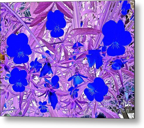 Pansy Metal Print featuring the photograph Pansy Splash by Linda Bianic