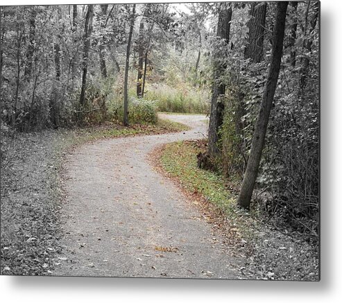 Forest Metal Print featuring the photograph Path to Discovery by Deborah Kunesh