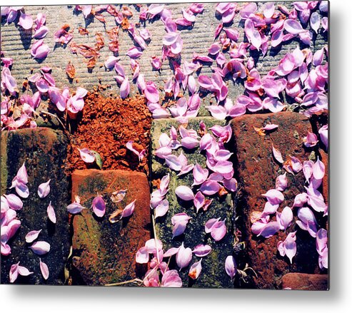 Spring Metal Print featuring the photograph Petals on the Bricks 2 AE by Lyle Crump