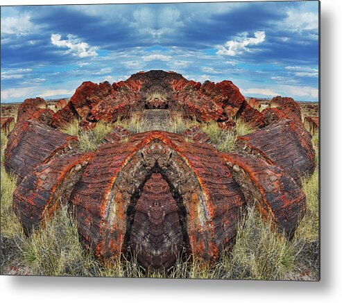 Petrified Forest National Park Metal Print featuring the photograph Petrified Forest Arizona Mirror by Kyle Hanson