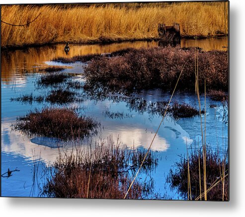 Landscape Metal Print featuring the photograph Pineland Cloud Reflections by Louis Dallara
