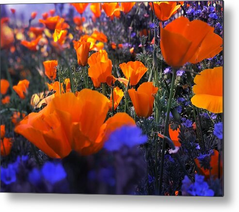 Mist Metal Print featuring the digital art Poppies Popping by Kevyn Bashore