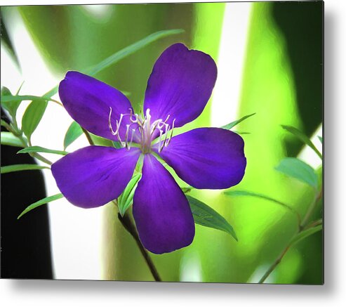 Background Metal Print featuring the painting Poppin Purple Flower by Penny Lisowski
