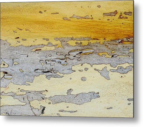 Abstract Metal Print featuring the photograph Possum Abstract Landscape 3 by Denise Clark