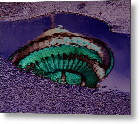 Seattle Metal Print featuring the digital art Puddle Needle by Tim Allen