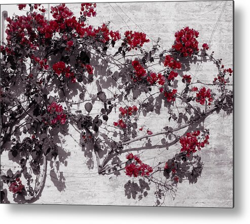 Nature Metal Print featuring the photograph Pulse of Life by AM FineArtPrints