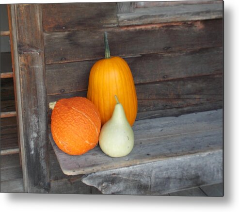 Shelburne Metal Print featuring the photograph Pumpkin on a Bench by Catherine Gagne