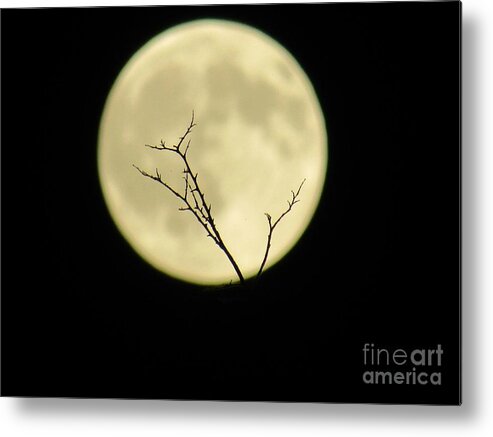  Metal Print featuring the photograph Reaching Out Into the Night by Kelly Awad