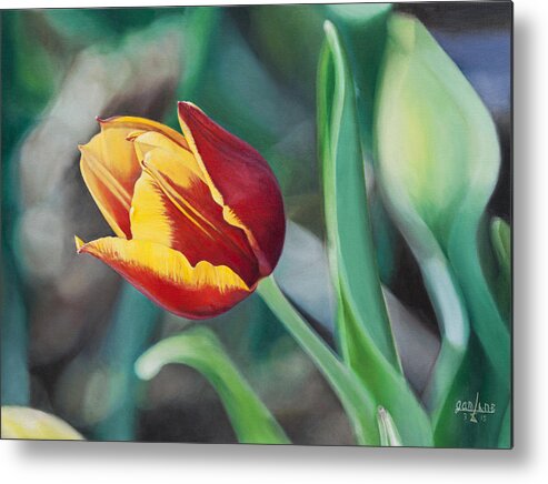 Flower Metal Print featuring the painting Red and Yellow Tulip by Joshua Martin
