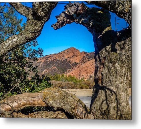 Red Rock Metal Print featuring the photograph Red Rock Cliffs by Pamela Newcomb