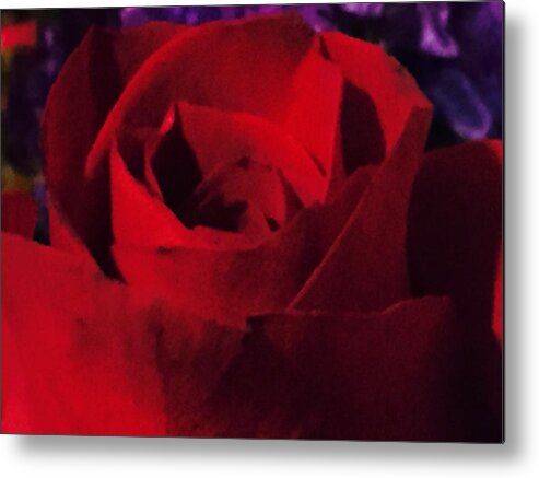 Flower Metal Print featuring the photograph Red Rose by David Martin Stevens