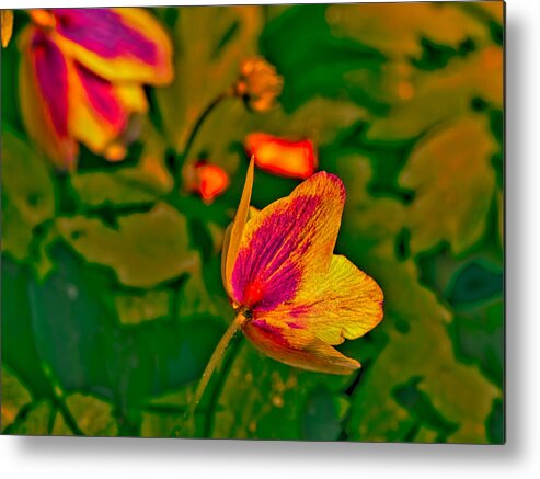 Orange Metal Print featuring the photograph Red, white, green, orange by Leif Sohlman