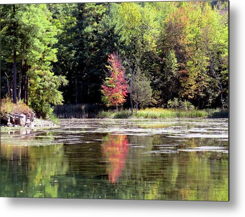 1000 Islands Metal Print featuring the photograph Reflections on the Rift by Dennis McCarthy