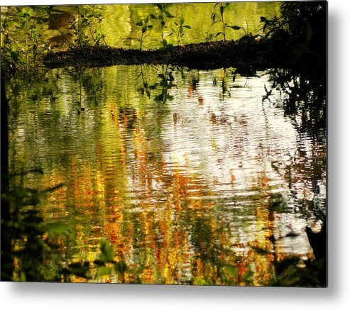 Lake Conestee Nature Park Metal Print featuring the photograph Ripples by Kathy Barney