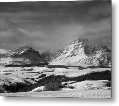B&w Metal Print featuring the photograph Rising Wolf Mountain- Winter - Black and White by Tracey Vivar