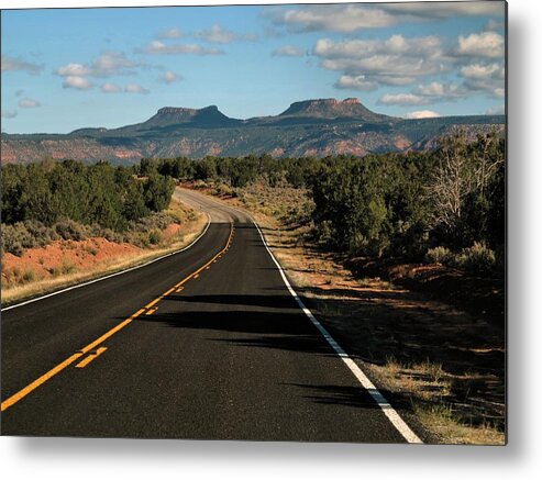 Bears Ears National Monument Metal Print featuring the photograph Road To The Bears Ears by Hazel Vaughn