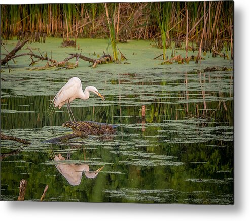 Wisconsin Metal Print featuring the photograph Roadside Reflection by Kristine Hinrichs