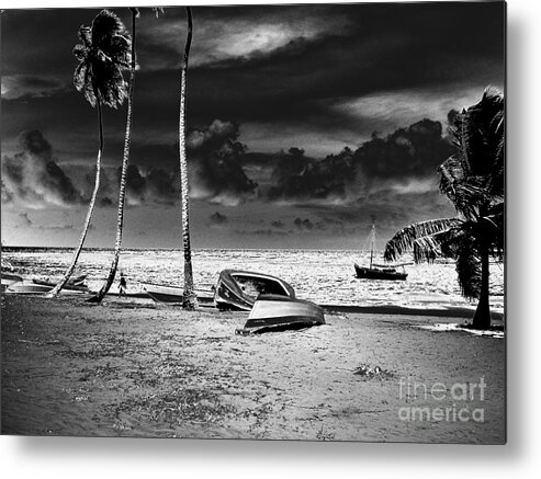 Palm Metal Print featuring the photograph Rock the Boat Extreme by Heather Kirk