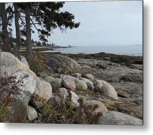 Pine Trees Metal Print featuring the photograph Rocky Coastline of Maine by Bill Tomsa