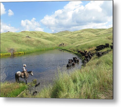 Cattle Metal Print featuring the photograph Rolling Hills by Diane Bohna