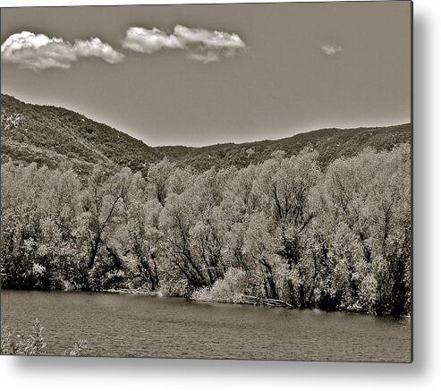 Rose Valley Metal Print featuring the photograph Rose Valley by Liz Vernand