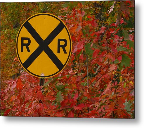 Color Metal Print featuring the photograph R R Xing Autumn Colors by Bill Tomsa