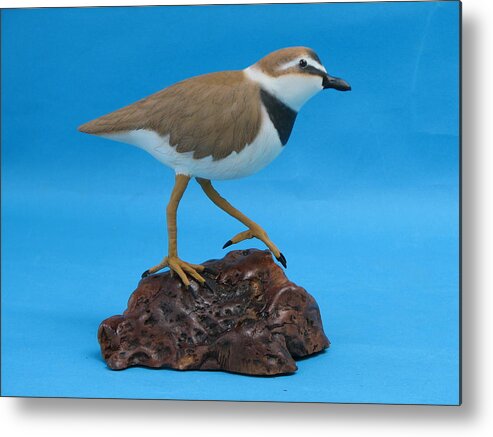 Woodcarving Metal Print featuring the sculpture Ruddy Turnstone by Jack Murphy
