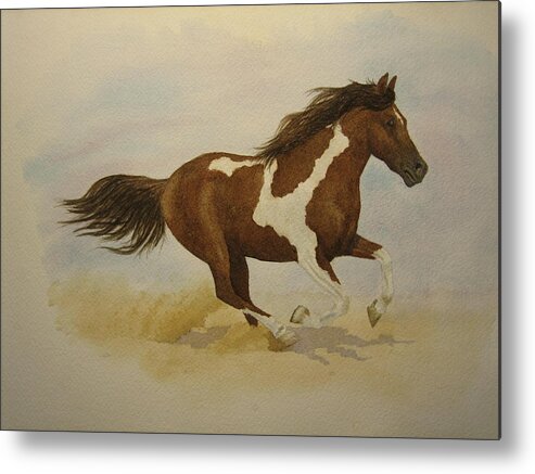 Paint Horse Metal Print featuring the painting Running Paint by Jeff Lucas