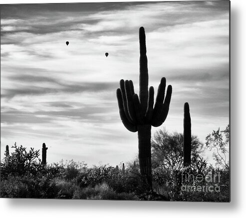 Saguaro Cactus Metal Print featuring the photograph Saguaro Cactus with Hot Air Balloons by Tamara Becker