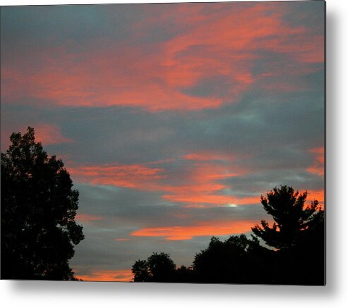 Photos Metal Print featuring the photograph Sailor's Delight by Randy Rosenberger