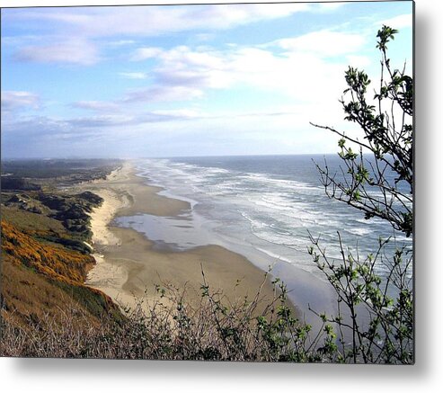 Sand And Sea Metal Print featuring the photograph Sand And Sea 7 by Will Borden