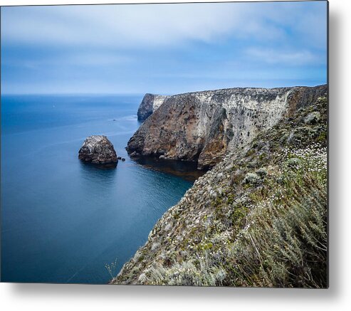 Santa Cruz Island Metal Print featuring the photograph Santa Cruz Ridge Trail by Pamela Newcomb