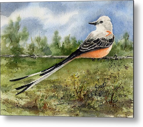 Scissortail Metal Print featuring the painting Scissor-Tail Flycatcher by Sam Sidders