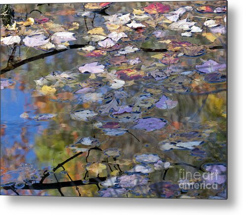 Abstract Metal Print featuring the photograph Scituate Autumn Abstract 2015 by Lili Feinstein