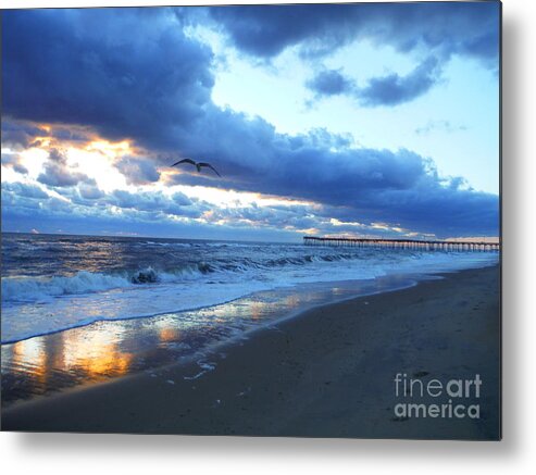 Virginia Beach Metal Print featuring the photograph Seagull At Dawn by Paddy Shaffer