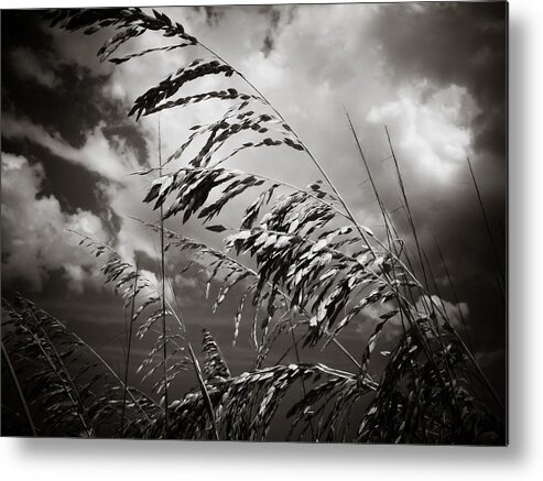 Seaside Metal Print featuring the photograph Seaside by Jessica Brawley